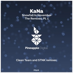Snowfall in November - The Remixes, Pt. 1 - Single