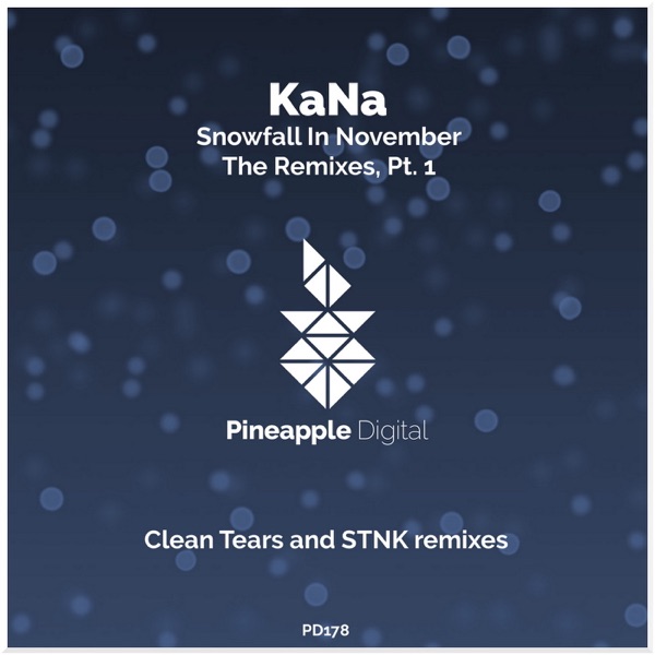 Snowfall in November - The Remixes, Pt. 1 - Single