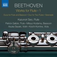Allegro vivace in D Op 25 by Ludwig van Beethoven