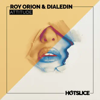 Attitude by Roy Orion & DialedIN song reviws