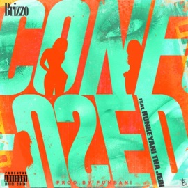 Confused (feat. Kunkeyani Tha Jedi) Brizzo
