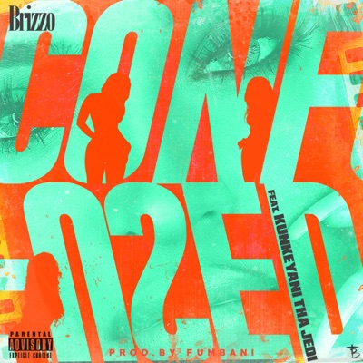 Confused (feat. Kunkeyani Tha Jedi) - Single