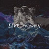 Live Palankin (Ao Vivo) - Single