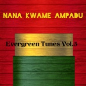 Onipa Nse Hwee (Remix) artwork