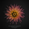 Universal Soul - Single