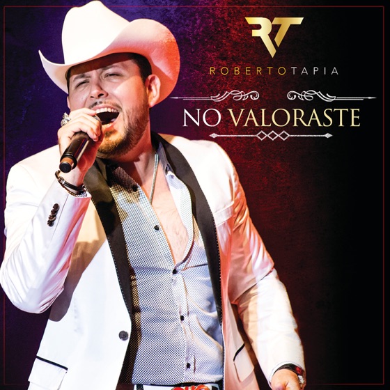 Cover artwork for No Valoraste