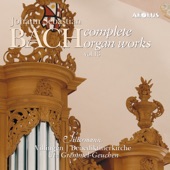 Johann Sebastian Bach: Complete Organ Works played on Silbermann organs Vol. 13 artwork