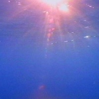 Vivid (feat. Soudiere) - Single - Kamiya