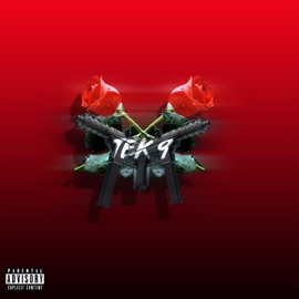 Tek-9 (feat. Dizzle Montana) Moochie 1st