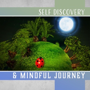 Self Discovery & Mindful Journey: Search Your True Nature, Soul Vibrations, Harmony & Meditation, Flow of Light