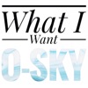 What I Want - Single