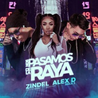 Nos Pasamos de la Raya (feat. Alex D) - Single - Zindel