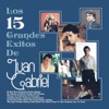 Los 15 Grandes Exitos de Juan Gabriel, 2004