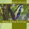 Music for Sleep - Blissful Soothing Soundscapes to Help You Relax and Sleep, Fall Asleep Quickly, Calming Meditations