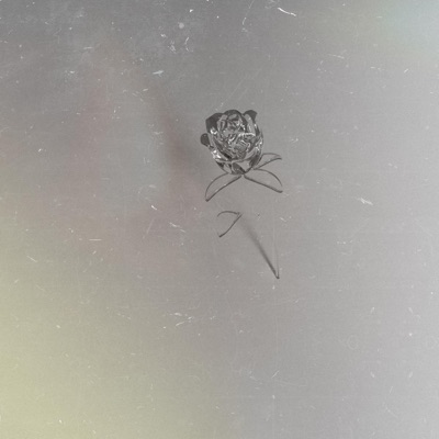 Flora & Fauna - Single