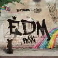 EDM Rox