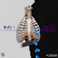 Not Okay (feat. Rich Morris & Dizzy Banko) - Single - Gatti B