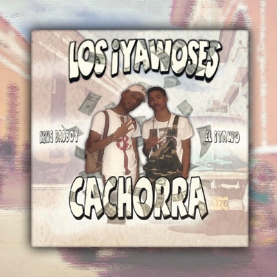 Cachorra (feat. El Iyawo) - Single