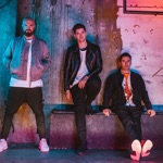The Script
