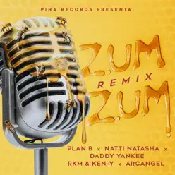 Zum Zum (Remix) [feat. RKM & Ken-Y & Arcángel] - Single - Daddy Yankee