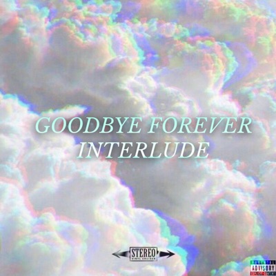 Goodbye Forever - Single
