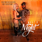 What a Night (feat. Stylo G) artwork