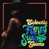 Eclectic Funky Swamp Gems - Various Artists