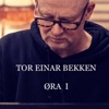 Tor Einar Bekken & Richard Gjems - Long Question Short Answer