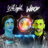 Perfect Exceeder - Single - Will Light & WildCap