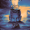 Devin Townsend Project - Ocean Machine - Live at the Ancient Roman Theatre Plovdiv artwork