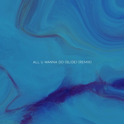 All U Wanna Do (feat. Nicko Burgos, Karina Caamaño, Mister Novela, David Jones & Nicole Watson) [Slide] [Remix] - Single