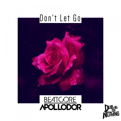 Don't Let Go - Single