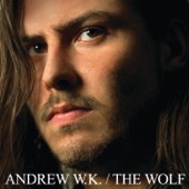 Andrew W.K. - Free Jumps