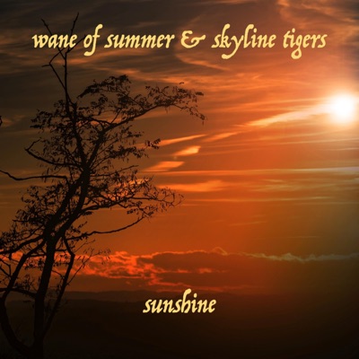 Sunshine (feat. Skyline Tigers) - Single