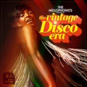 The Vintage Disco Era artwork