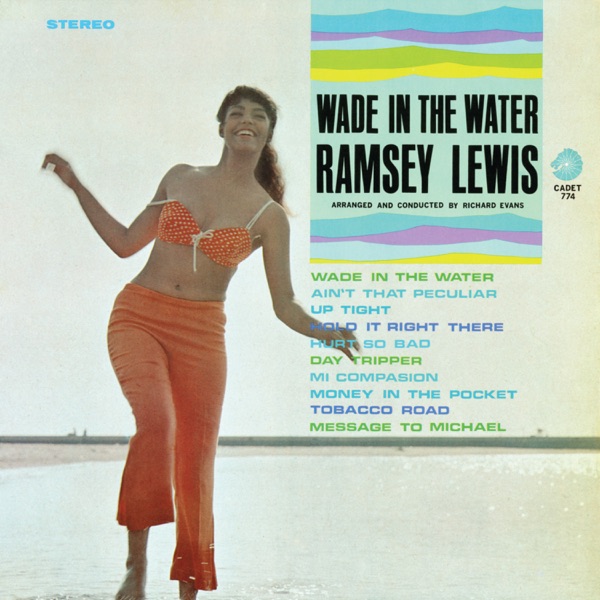 Wade In the Water