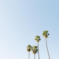 Summer Tingz - Single - AlmightyHeezy