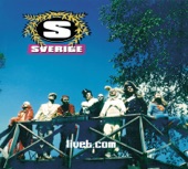 Sverige - Lång Väg Kvar Att Gå