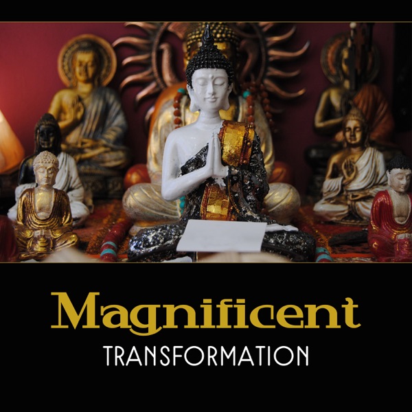 Magnificent Transformation – Buddhism for Beginners, Immediately Stress Relief, Peace with Zen, 50 Qualities of Awareness