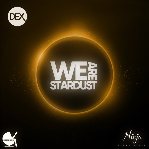 We Are Stardust - Single