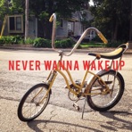 Never Wanna Wake Up - Single