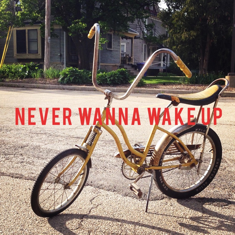 Never Wanna Wake Up