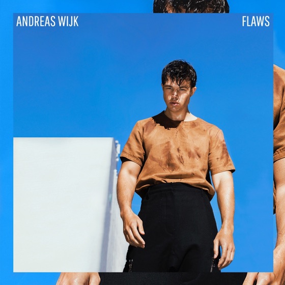Cover artwork for Flaws