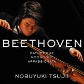 Beethoven:《悲愴》《月光》《熱情》 artwork