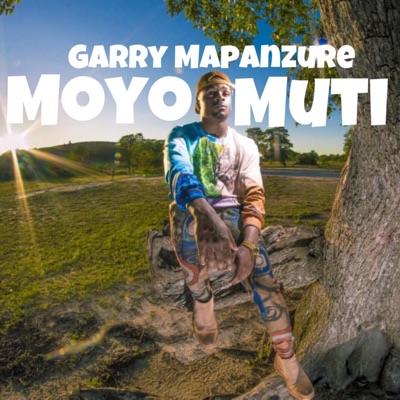 Moyo Muti - Single