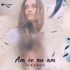 Am Ce Nu Am - Single