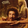 Essar, 1984
