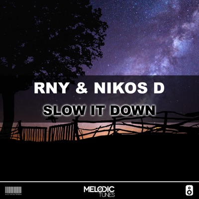 Slow It Down - Single