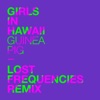 Guinea Pig (Lost Frequencies Remix) - Single