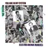 You Are In My System